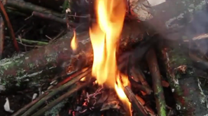 История и технологии выживания (Безопасность жизнедеятельности) Hts01